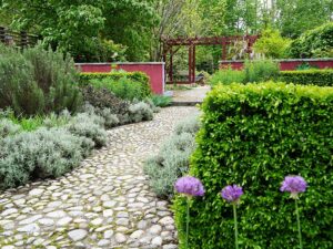 Natur im Garten (Bild: Leopold Mayrhofer/Natur im Garten)