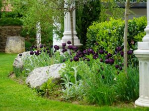 TV-Sendung "Natur im Garten" (Bild: Leopold Mayrhofer/Natur im Garten/Leopold Mayrhofer, A.Wildgansstr. 3382 LOOSD.)