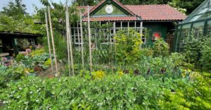Gem&uuml;segarten in &uuml;ppiger Pracht
