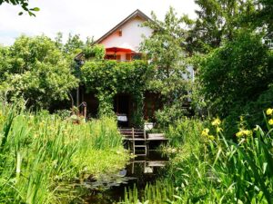 Natur im Garten (Bild: Leopold Mayrhofer/Natur im Garten)