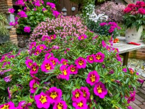 2025 wird pink