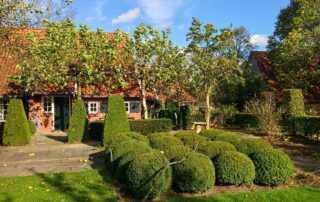 Herbst ist die beste Pflanzzeit