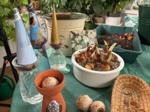Hyazinthen auf dem Glas