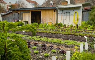 Natur im Garten (Foto: ORF/Talk TV)