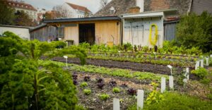 Natur im Garten (Foto: ORF/Talk TV)