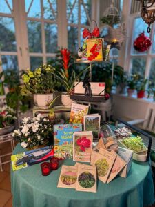 Die Last Minute Geschenke 2025