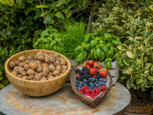 Nüsse und Beeren