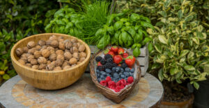 Nüsse und Beeren