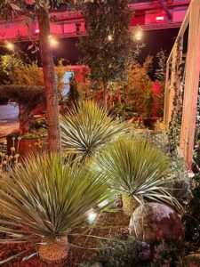 Gartenmesse Wels 2025 - die Vorbereitungen