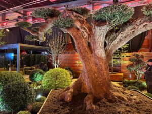 Gartenmesse Wels 2025 - die Vorbereitungen