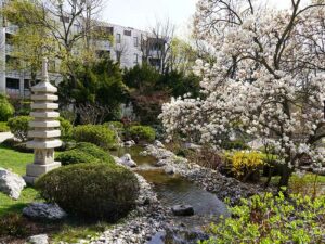 Leopold Mayrhofer/Natur im Garten