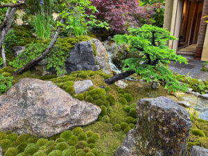 Der Japanische Siegergarten - Ort zum Entspannen