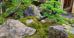 Der Japanische Siegergarten - Ort zum Entspannen