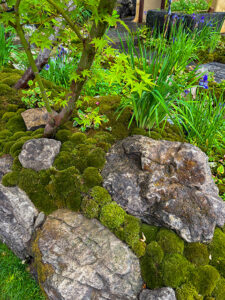 Der Siegergarten mit ungeheurer Detail-Verliebtheit