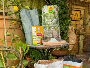 Vulkangesteine dominieren den Markt