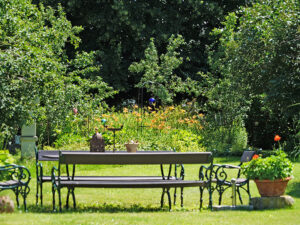 Natur im Garten (Bild Mayrhofer)