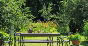 Natur im Garten (Bild Mayrhofer)