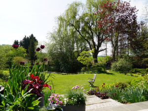 Bild: ©Leopold Mayrhofer/Natur im Garten