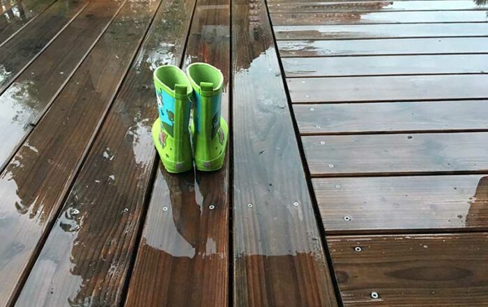 Regen