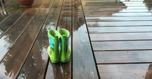 Regen