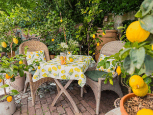 Citrusduft im Garten