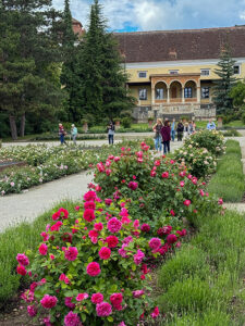 Rosarium Baden