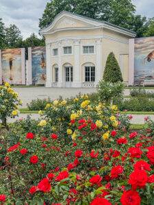 Rosenblütenpracht im historischen Park