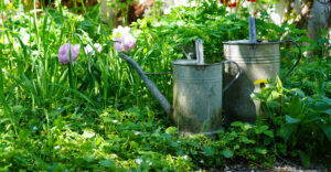 Natur im Garten (Bild: Leopold Mayrhofer/Natur im Garten)