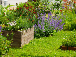 Bild: Leopold Mayrhofer/Natur im Garten
