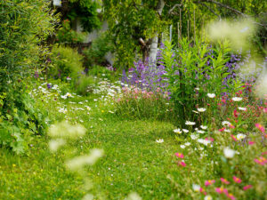 Bild: Leopold Mayrhofer/Natur im Garten
