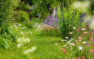 Bild: Leopold Mayrhofer/Natur im Garten