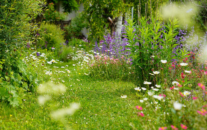 Bild: Leopold Mayrhofer/Natur im Garten