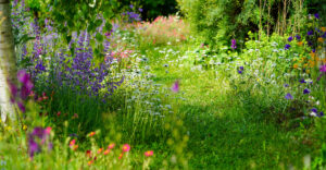 Bild: Leopold Mayrhofer/Natur im Garten