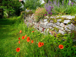 Bild: Leopold Mayrhofer/Natur im Garten
