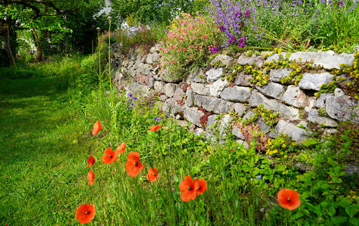Bild: Leopold Mayrhofer/Natur im Garten