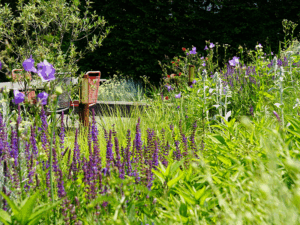 Bild: Leopold Mayrhofer/Natur im Garten