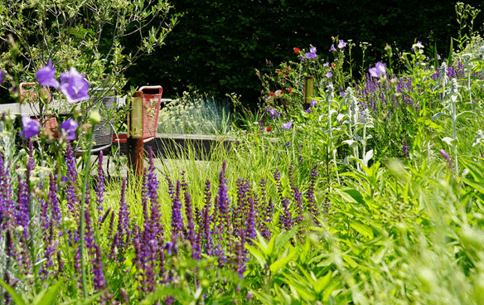 Bild: Leopold Mayrhofer/Natur im Garten