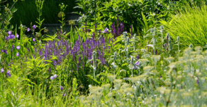 Bild: Leopold Mayrhofer/Natur im Garten