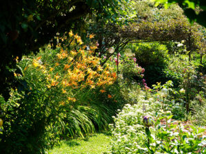 Bild: Leopold Mayrhofer/Natur im Garten