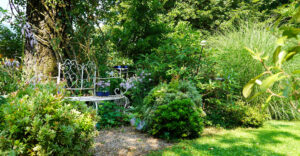 Bild: Leopold Mayrhofer/Natur im Garten