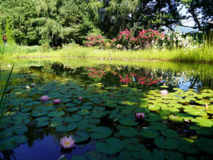 Bild: Leopold Mayrhofer/Natur im Garten
