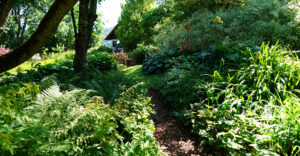 Bild: Leopold Mayrhofer/Natur im Garten