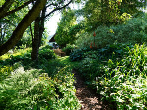 Bild: Leopold Mayrhofer/Natur im Garten