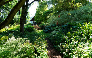 Bild: Leopold Mayrhofer/Natur im Garten