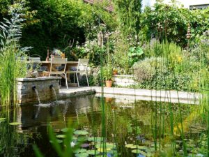 Bild: ORF/Leopold Mayrhofer/Natur im Garten/Leopold Mayrhofer, A.Wildgansstr. 3382 LOOSD.