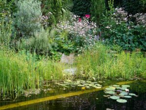 Bild: ORF/Leopold Mayrhofer/Natur im Garten/Leopold Mayrhofer, A.Wildgansstr. 3382 LOOSD.