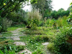 Bild: ORF/Leopold Mayrhofer/Natur im Garten/Leopold Mayrhofer, A.Wildgansstr. 3382 LOOSD.