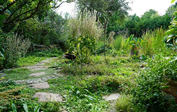 Bild: ORF/Leopold Mayrhofer/Natur im Garten/Leopold Mayrhofer, A.Wildgansstr. 3382 LOOSD.
