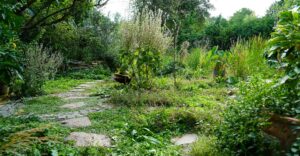 Bild: ORF/Leopold Mayrhofer/Natur im Garten/Leopold Mayrhofer, A.Wildgansstr. 3382 LOOSD.