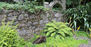 Corke Lodge - alte Mauern mit Pflanzen inszeniert